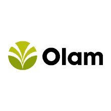 Olam